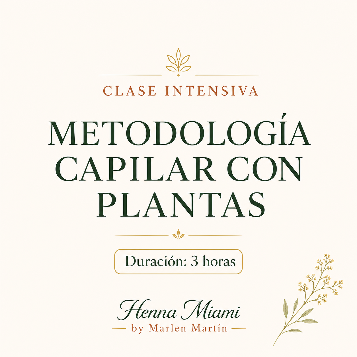 Curso Intensivo de Metodología para Sanar el Cabello – 4 Horas